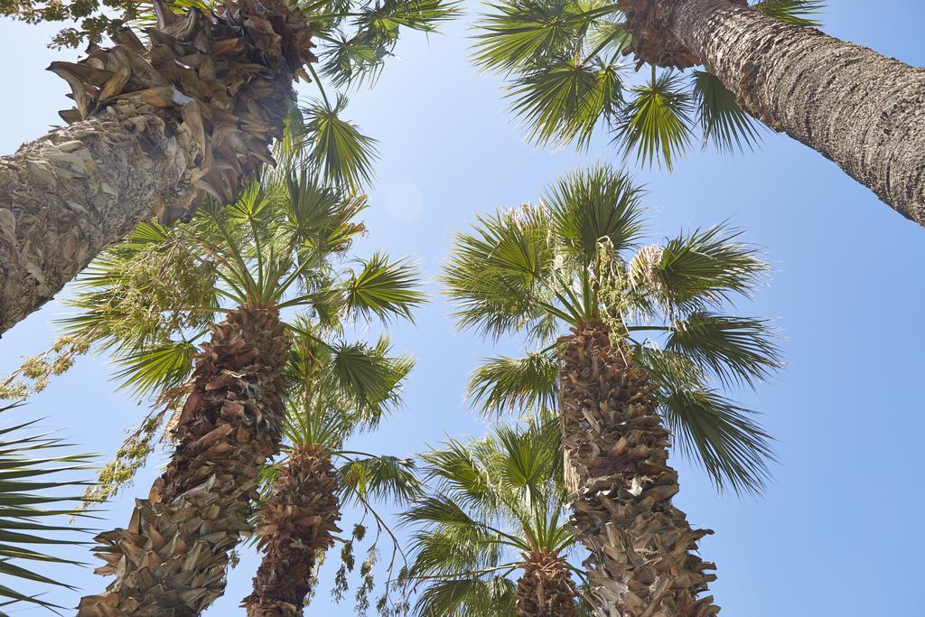 Meteor Beach Hotel Turgutreis Luaran gambar