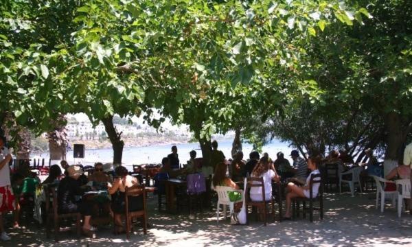 Meteor Beach Hotel Turgutreis Luaran gambar
